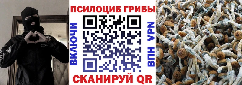 Псилоцибиновые грибы Cubensis  Купить закладки  Нижний Ломов 